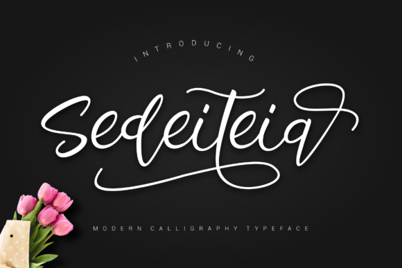Sedeiteia: A Modern Handwritten Typeface for Bold Web Design
