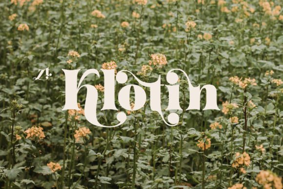 Why Klotin Serif Became the Heart of Our Latest Brand Redesign